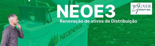 Riscos de Investir na Neoenergia (NEOE3)?