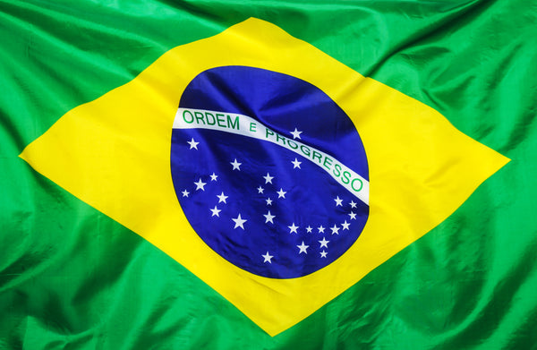 What brings investors to Brazil?